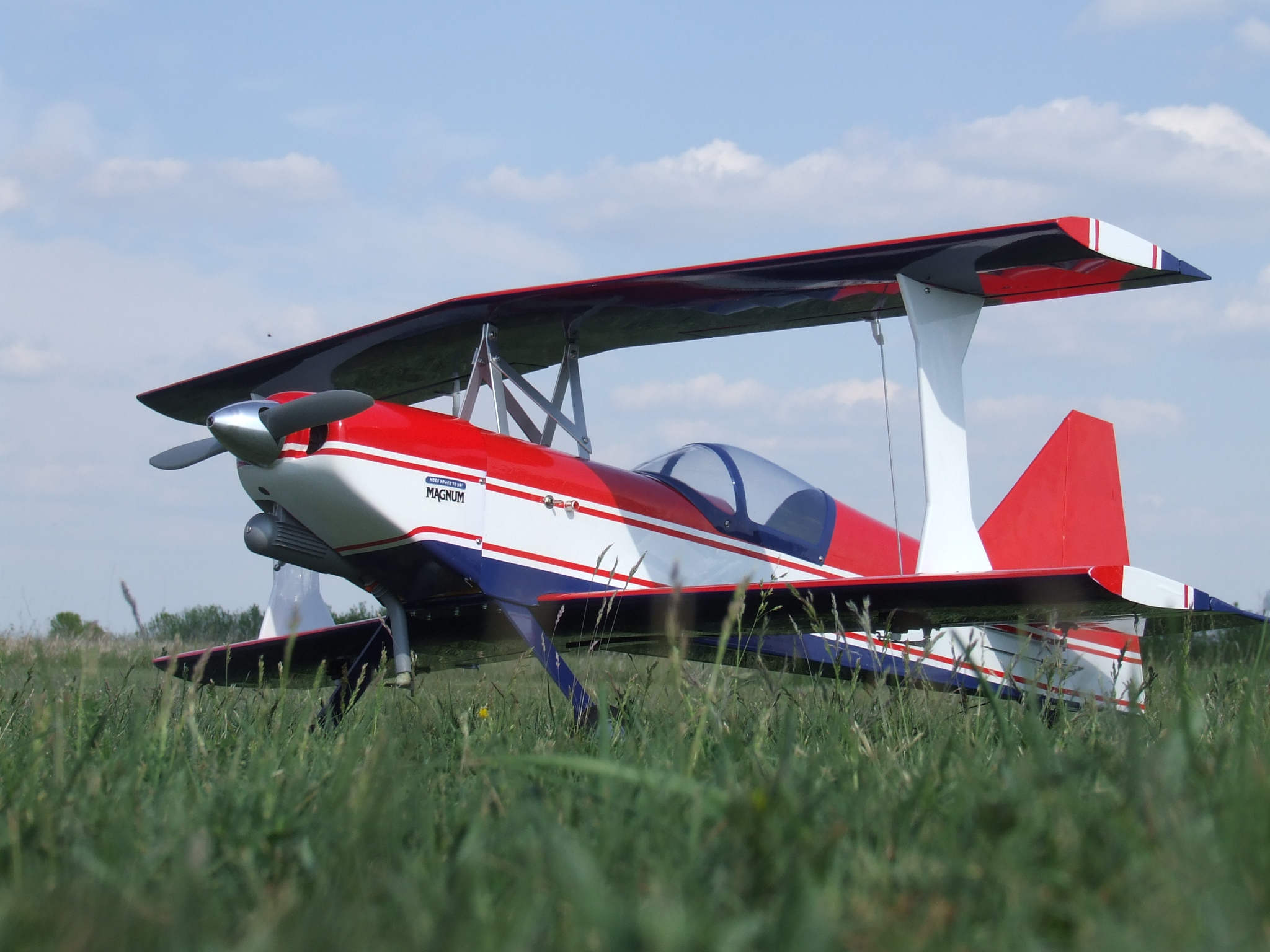 gallery_42_5_482704.jpg