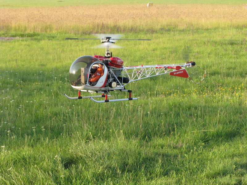 gallery_27_14_20107.jpg